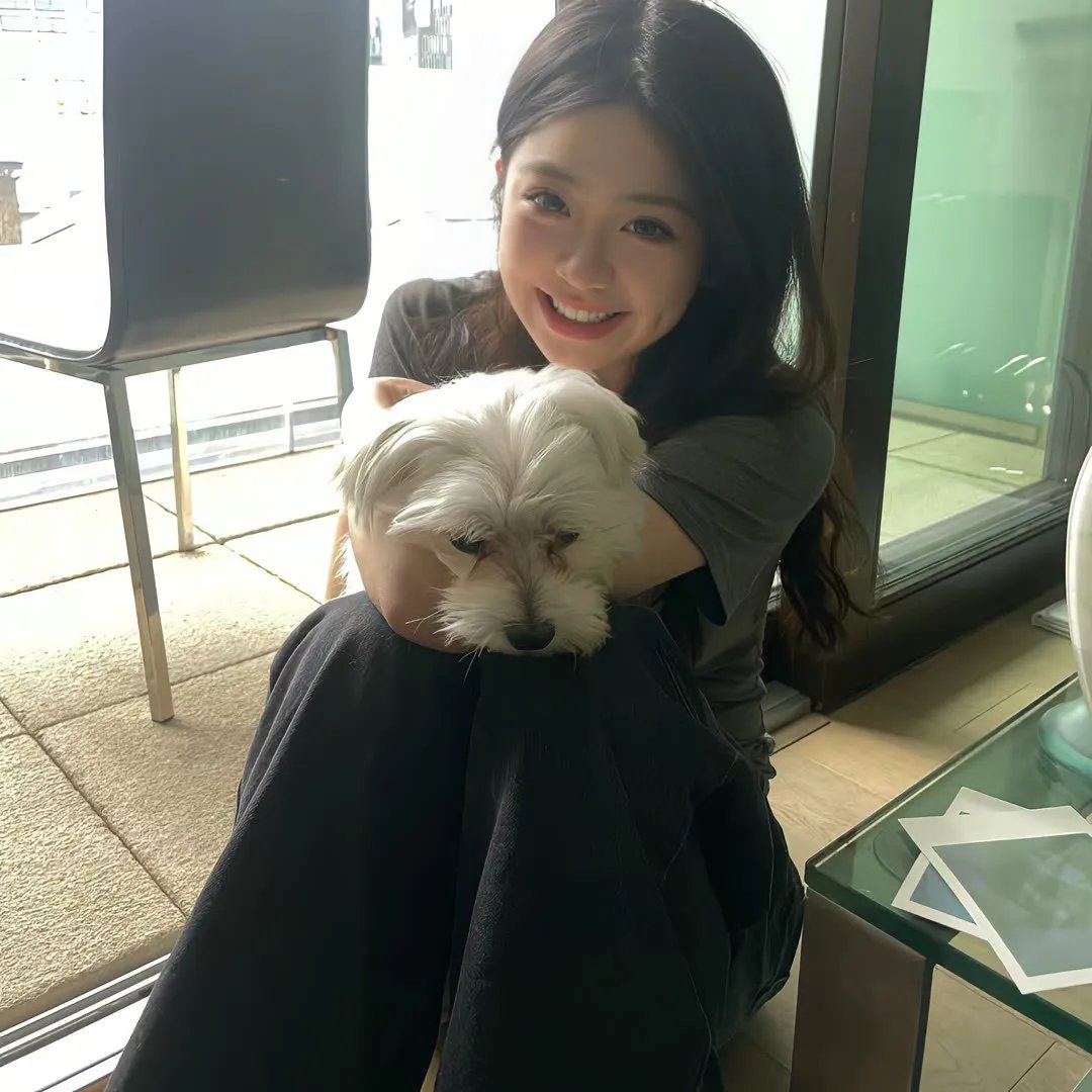 向上猴子